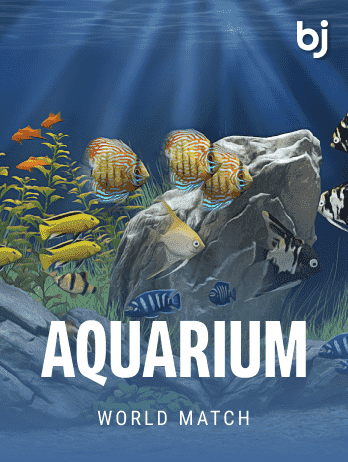 Aquarium game icon